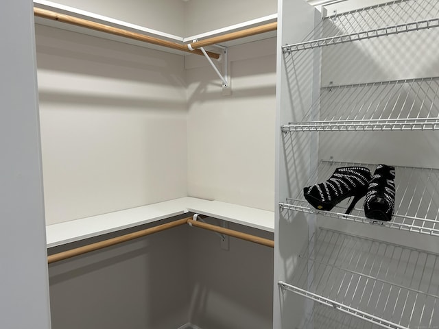 view of walk in closet