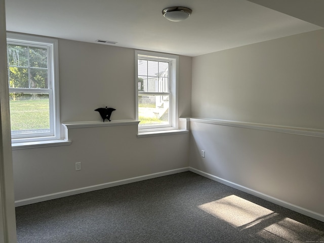 carpeted empty room with a wealth of natural light