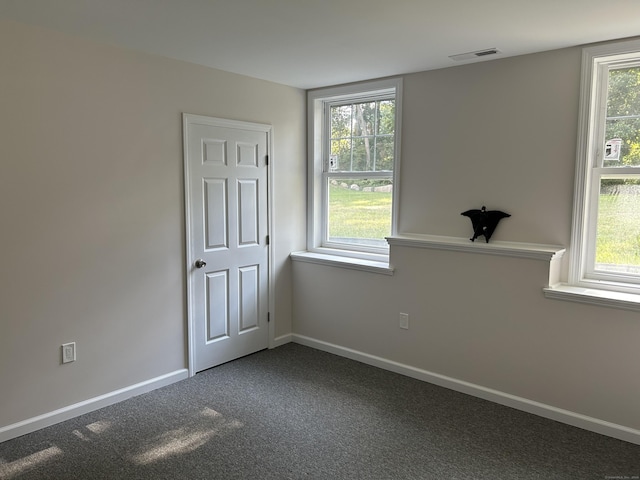 unfurnished room featuring carpet floors and a wealth of natural light