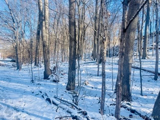 71 Dunbar Hill Rd, Hamden, CT 06514 - photo 2