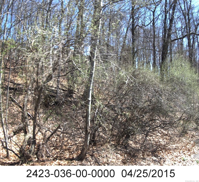 71 Dunbar Hill Rd, Hamden, CT 06514 - photo 4