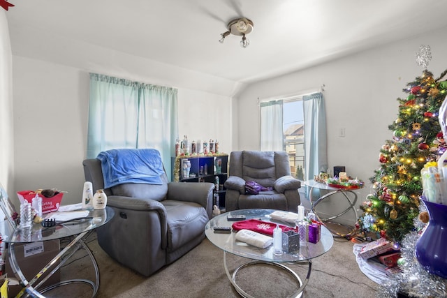 living room featuring carpet and lofted ceiling