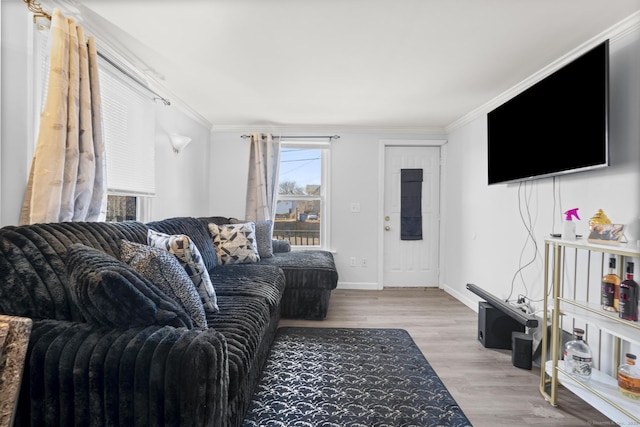 living room featuring crown molding and light wood-type flooring