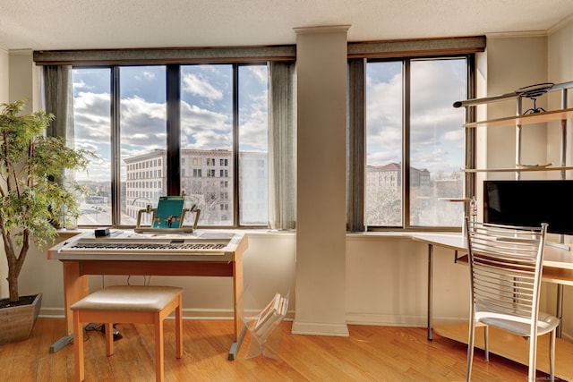 home office featuring ornamental molding, a textured ceiling, and light wood-type flooring