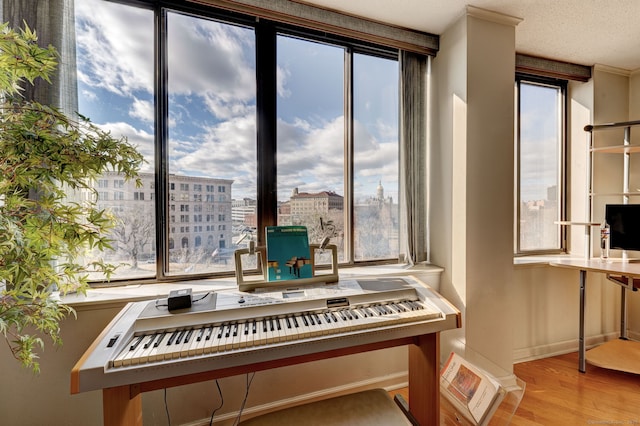 misc room featuring a wealth of natural light, light hardwood / wood-style flooring, and a textured ceiling