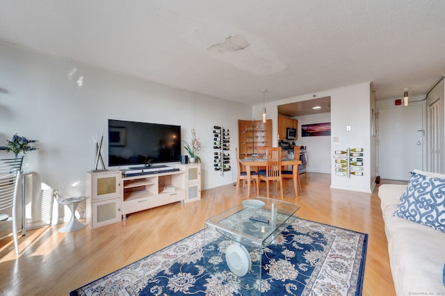 living room featuring hardwood / wood-style flooring and a textured ceiling