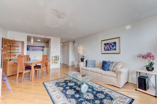 living room with a textured ceiling and hardwood / wood-style flooring