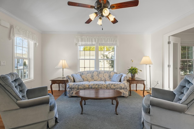 living room with ceiling fan, wood-type flooring, and crown molding