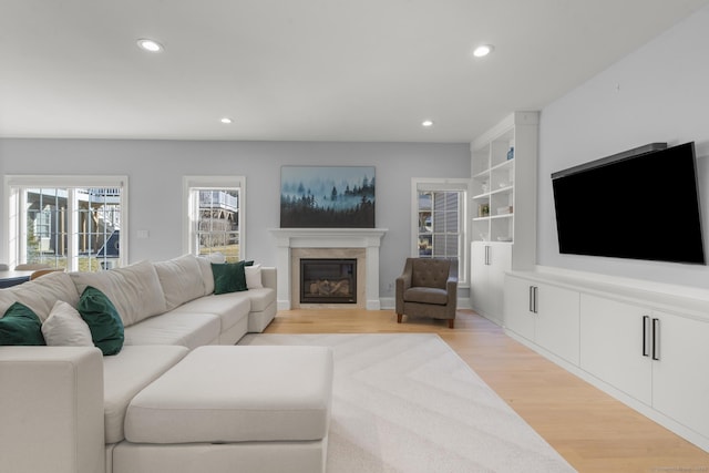 living room with light wood-type flooring