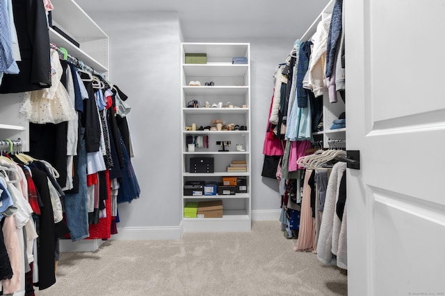 spacious closet featuring carpet floors