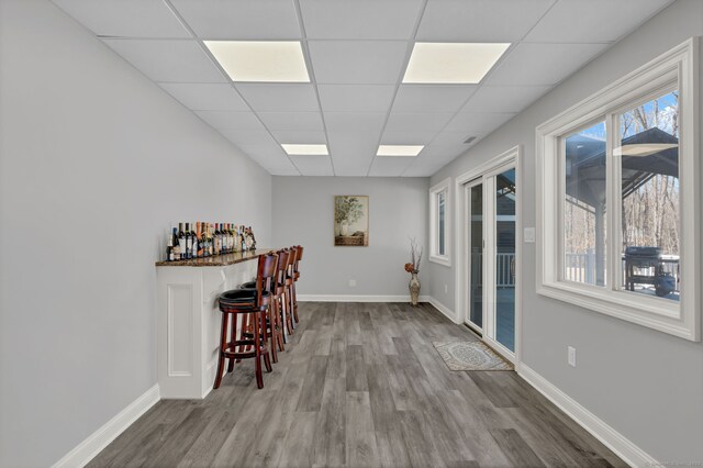 interior space with a drop ceiling, a dry bar, baseboards, and wood finished floors