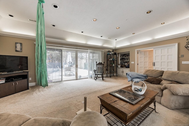 living room featuring a raised ceiling and light colored carpet