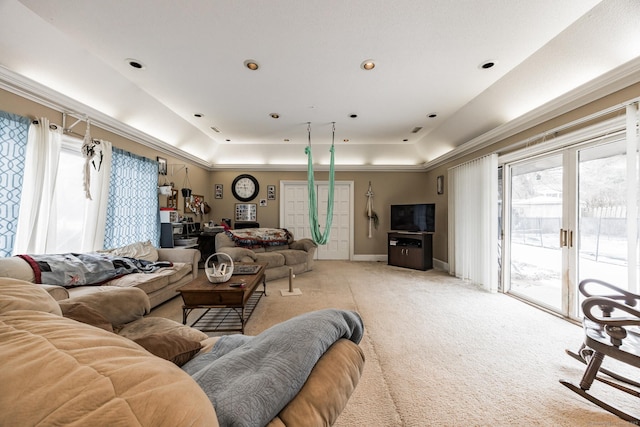 carpeted living room featuring a wealth of natural light and a tray ceiling