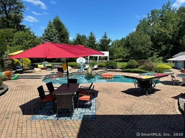 view of swimming pool with a patio area