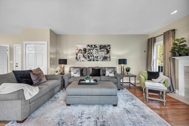 living room featuring hardwood / wood-style flooring