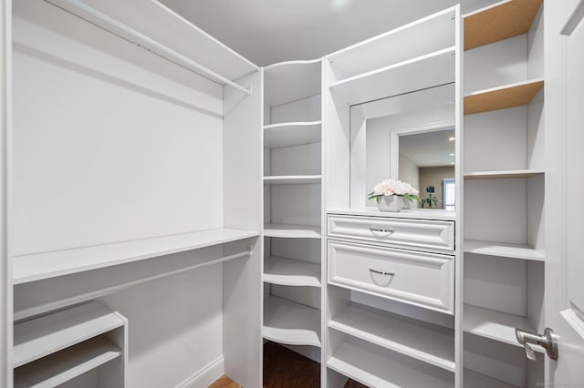 walk in closet with hardwood / wood-style floors