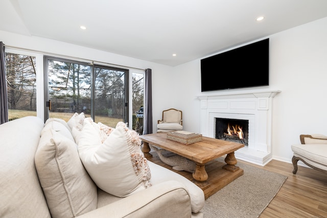 living room featuring light wood-type flooring and plenty of natural light