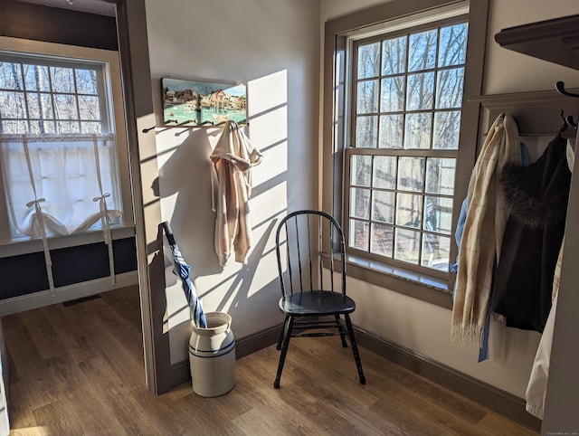 interior space with a wealth of natural light and dark hardwood / wood-style floors