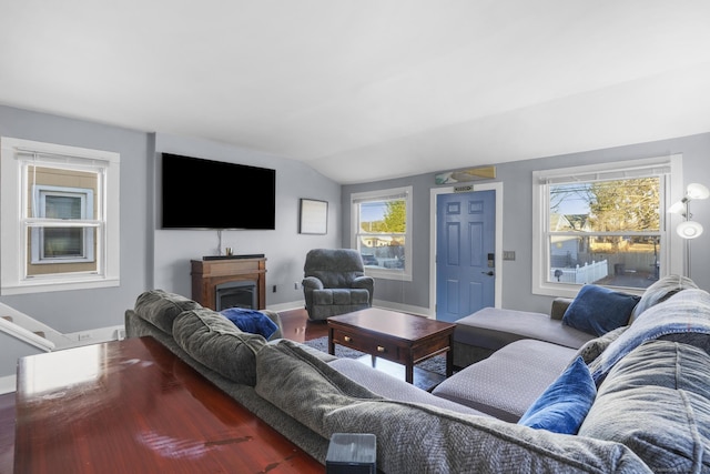 living room featuring wood-type flooring and vaulted ceiling