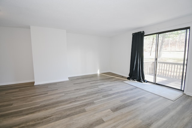 spare room featuring wood-type flooring