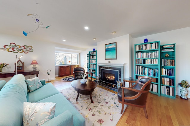 living room with a premium fireplace and light wood-type flooring