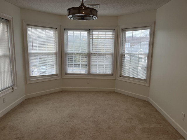 interior space with light colored carpet and a textured ceiling