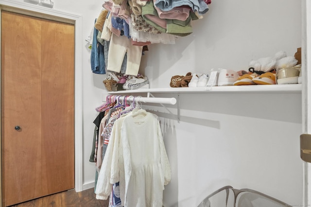 spacious closet featuring dark hardwood / wood-style floors