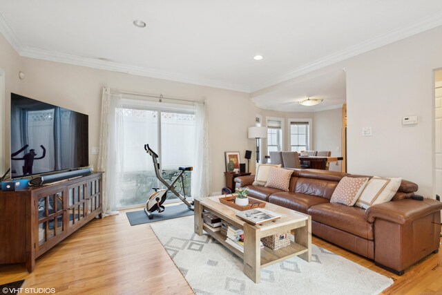 living room featuring light hardwood / wood-style flooring and ornamental molding