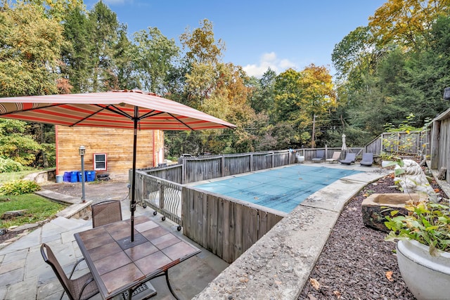 view of pool with a patio area