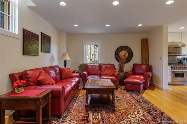 living room featuring hardwood / wood-style flooring