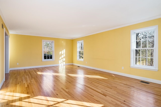 empty room with ornamental molding and plenty of natural light