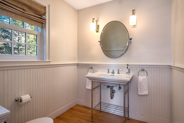 bathroom featuring wood-type flooring