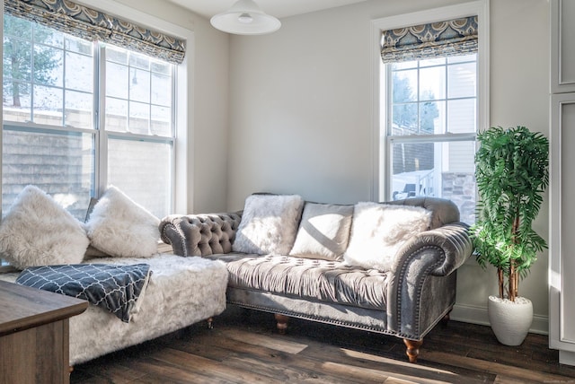 living room with plenty of natural light and dark wood finished floors