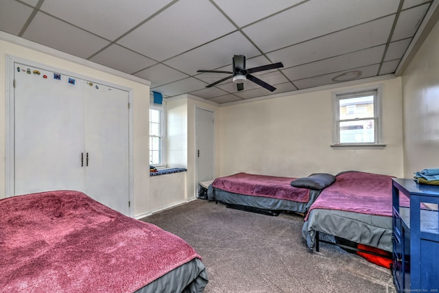 bedroom featuring multiple windows, ceiling fan, a drop ceiling, and carpet