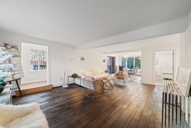 living room with radiator heating unit, dark hardwood / wood-style flooring, a wealth of natural light, and a notable chandelier