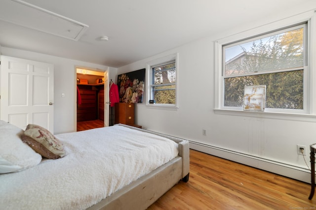 bedroom featuring a walk in closet, a closet, light hardwood / wood-style flooring, and multiple windows