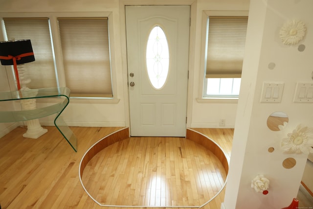 entryway with hardwood / wood-style floors