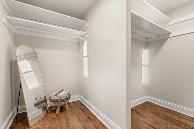 walk in closet featuring hardwood / wood-style flooring