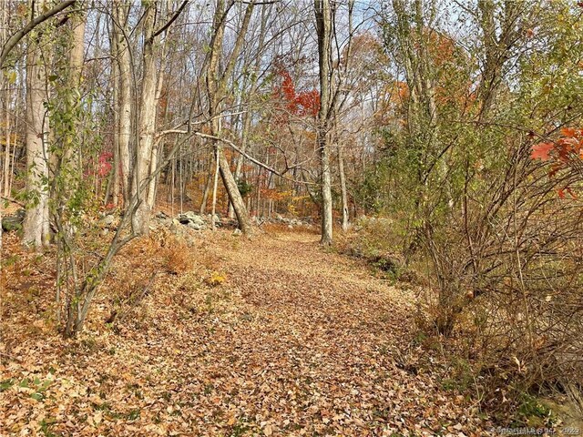 208 State Route 37, New Fairfield, CT 06812 - photo 5