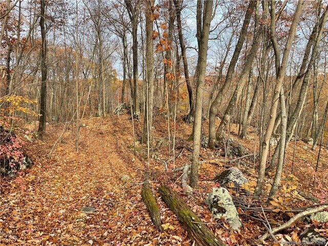 208 State Route 37, New Fairfield, CT 06812 - photo 17