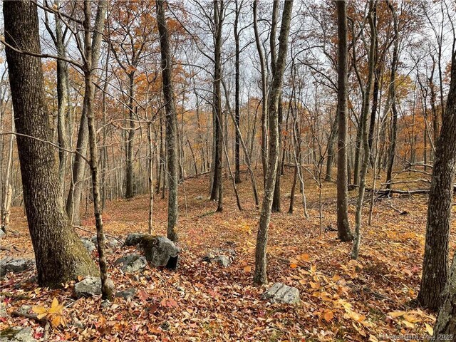208 State Route 37, New Fairfield, CT 06812 - photo 18