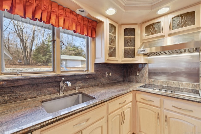 kitchen featuring a raised ceiling, stovetop, range hood, ornamental molding, and sink