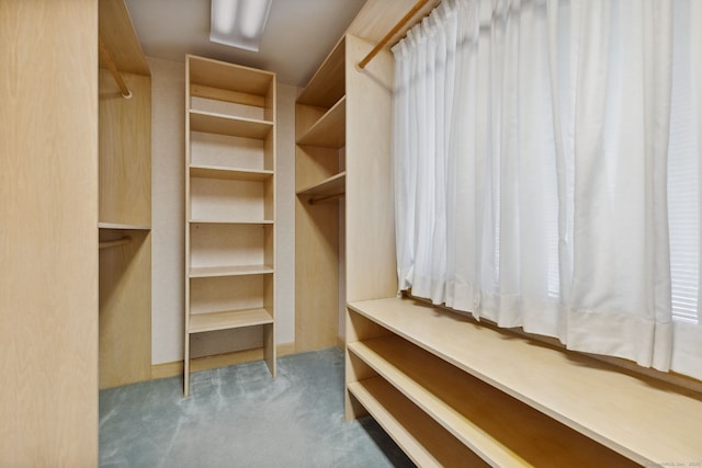 walk in closet featuring carpet