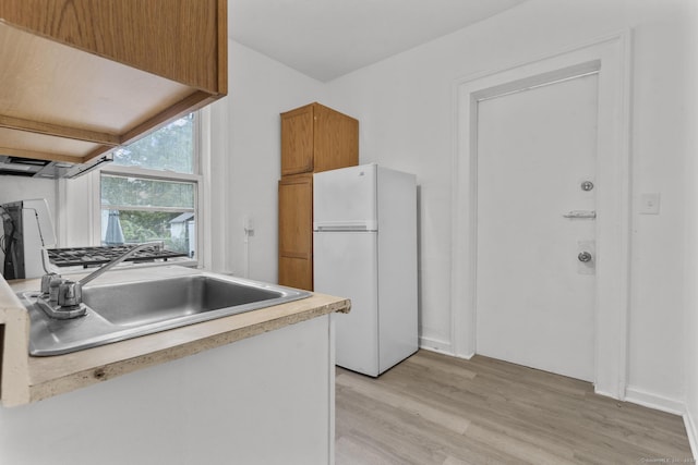 kitchen featuring white refrigerator, light hardwood / wood-style floors, and sink