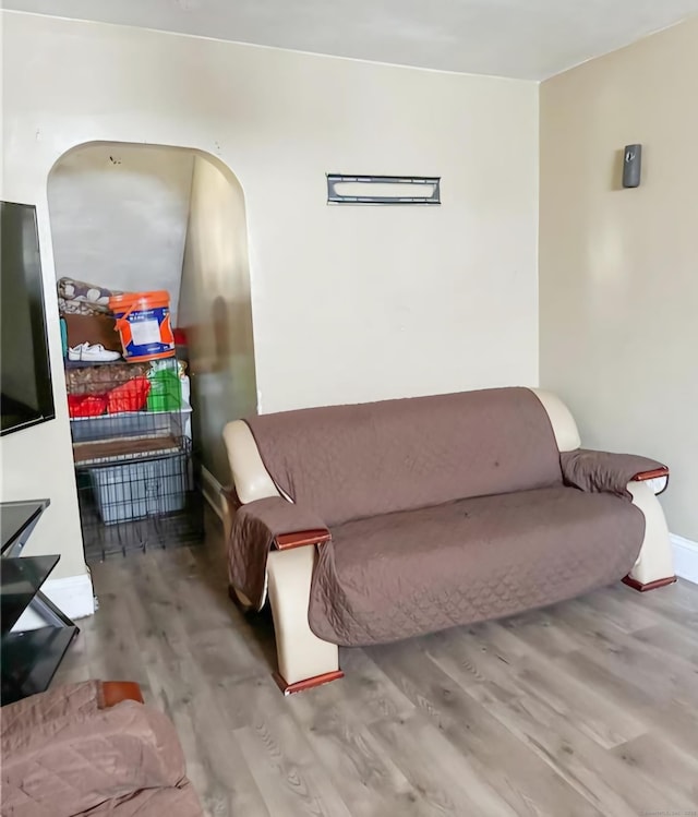 living room with wood-type flooring