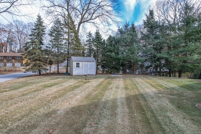 view of yard featuring a shed