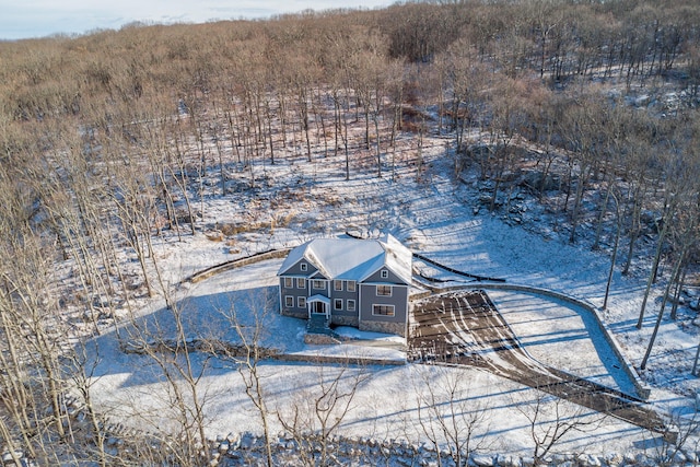 view of snowy aerial view