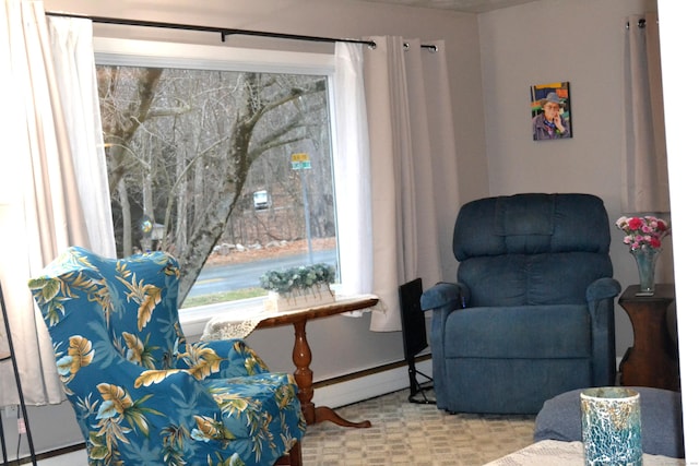 sitting room featuring a baseboard radiator and light carpet