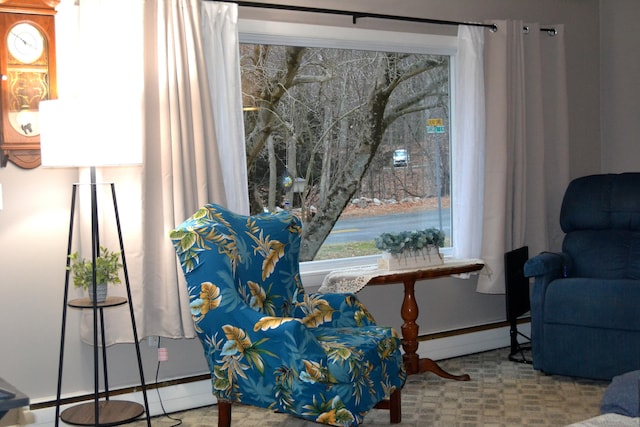 living area featuring baseboard heating and carpet