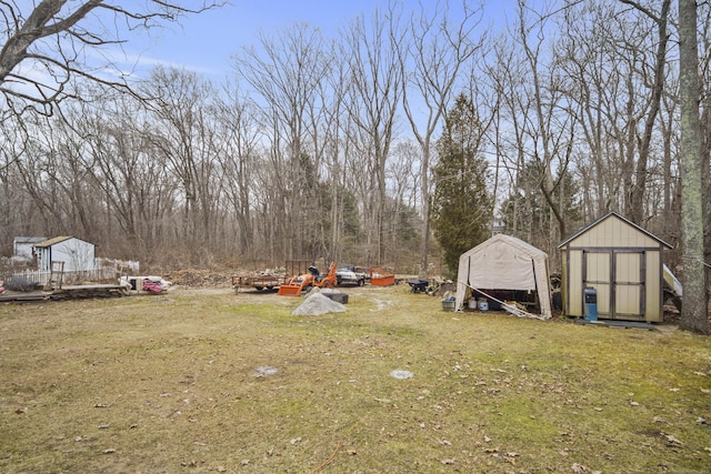 view of yard featuring a storage unit